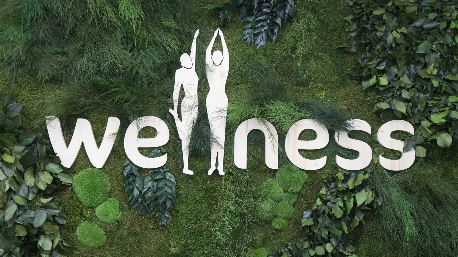 Mot Wellness en lettres bois blanches posées sur mur végétal stabilisé